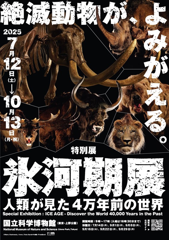 氷河期展