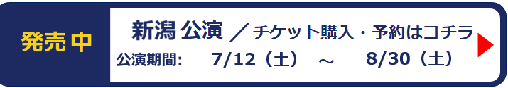 新潟公演チケット